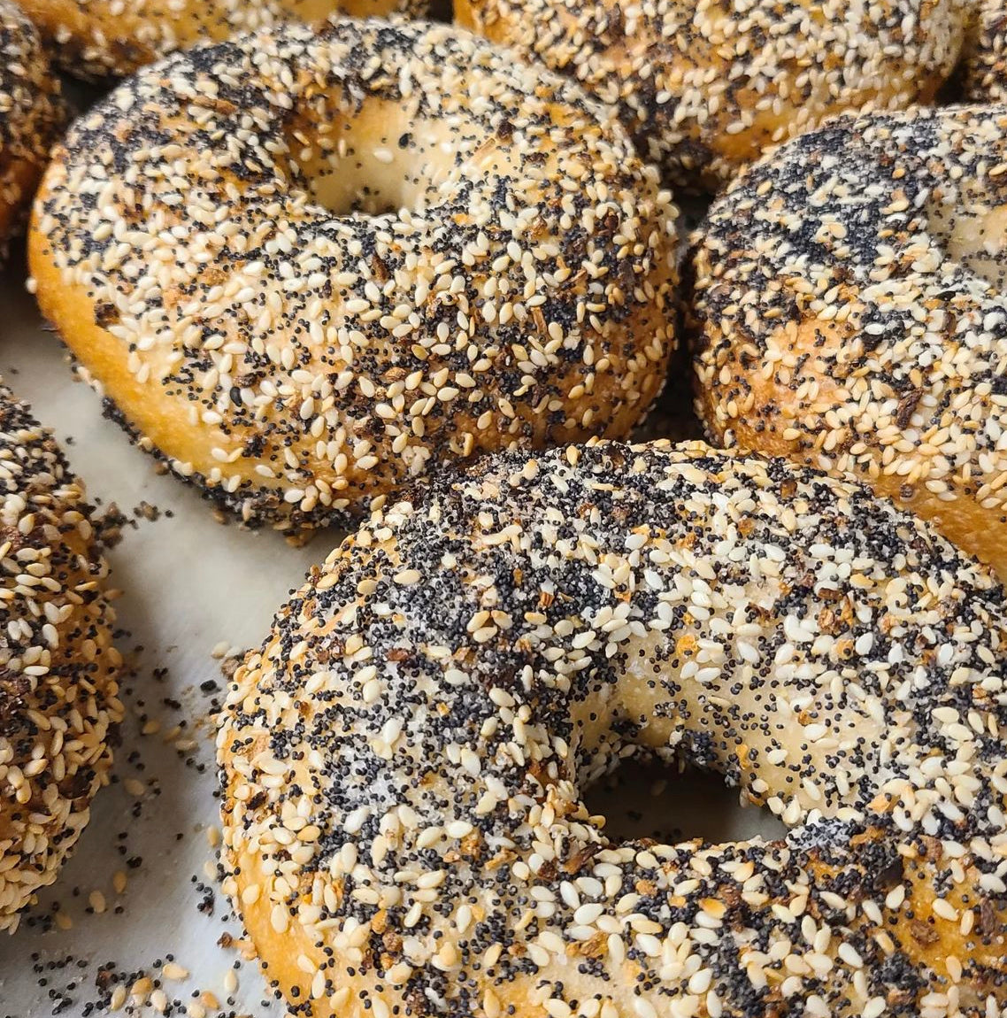 Bagels, Everything