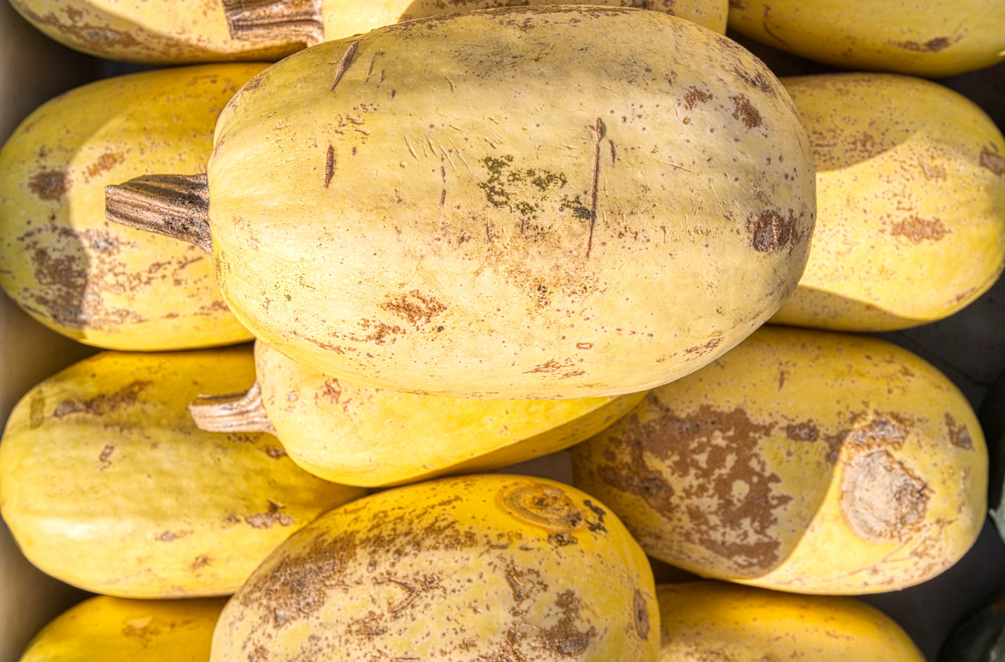 Spaghetti Squash