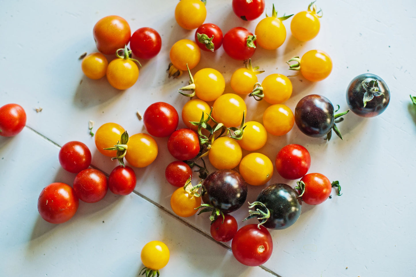 Mixed Cherry Tomatoes, 8 oz