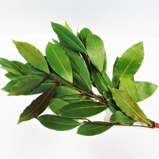 Bay Leaves, Bunched