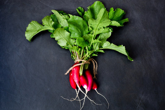 French Breakfast Radish, Bunched