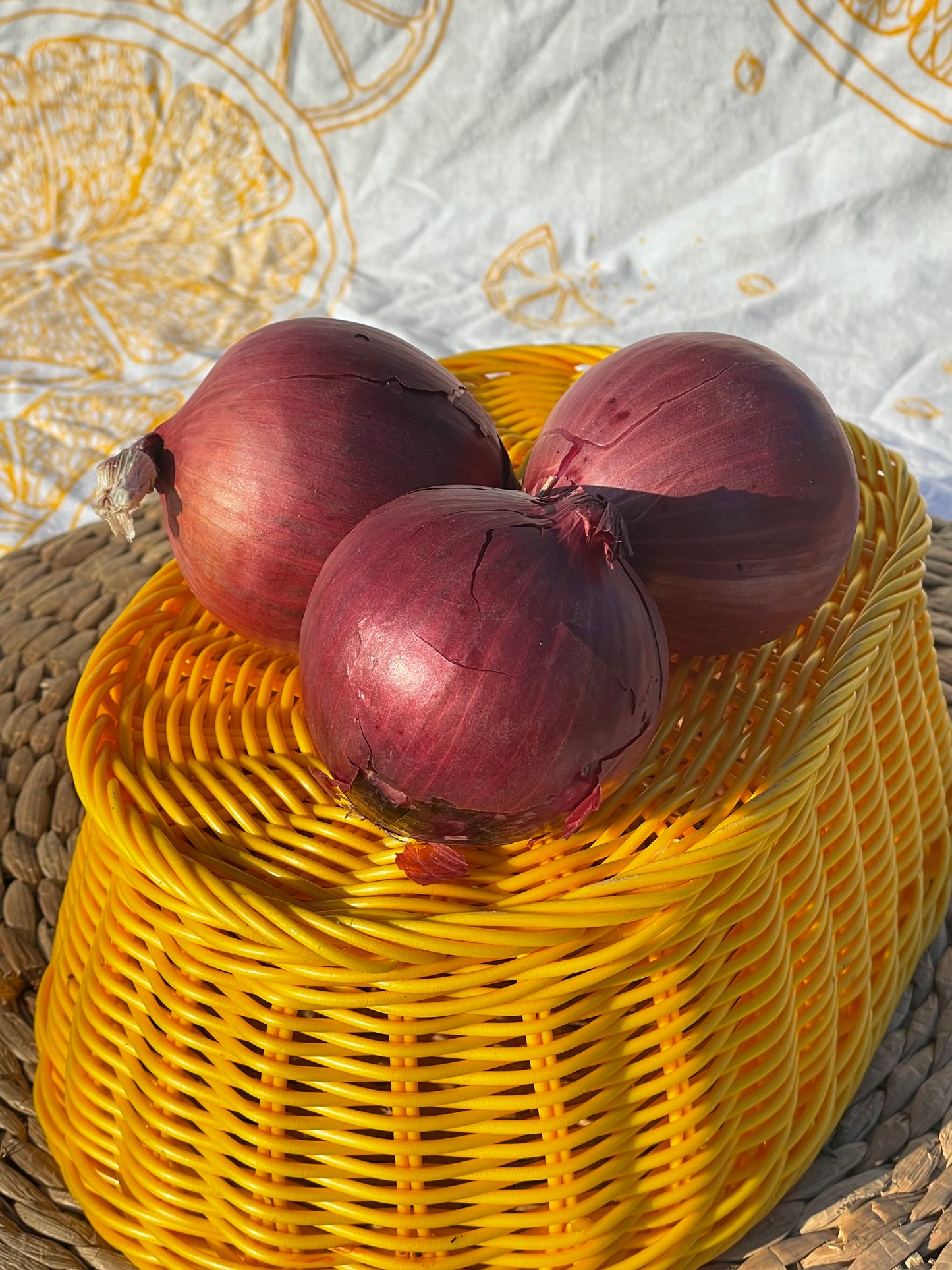 Onions, Dry, Red, 1 Pound